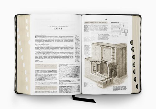 ESV Study Bible, Large Print, Thumb Indexed (Genuine Leather, Black)