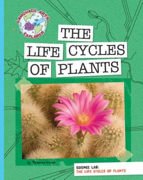 Science Lab: The Life Cycles Of Plants