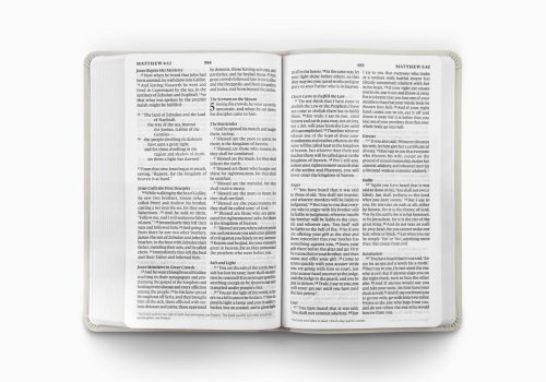 ESV Large Print Value Thinline Bible (TruTone, River Stone, Branch Design)