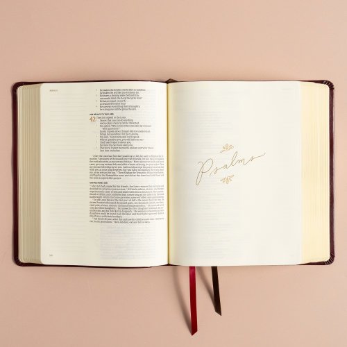 CSB Notetaking Bible, Hosanna Revival Edition, Heidelberg Burgundy LeatherTouch