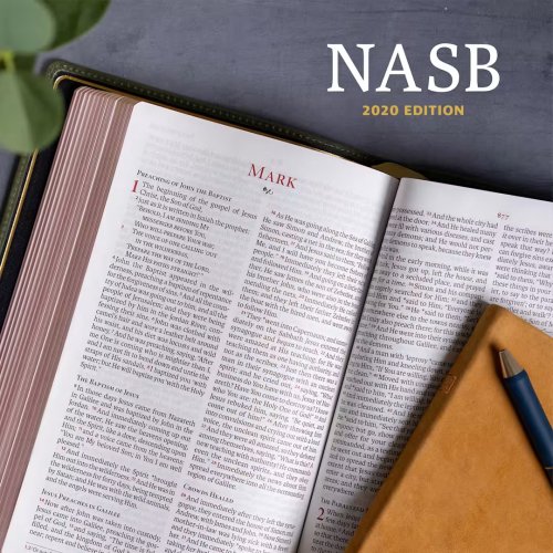 NASB Super Giant Print Reference Bible, Value Edition, Pink