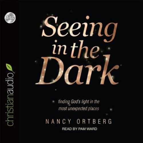 Seeing in the Dark