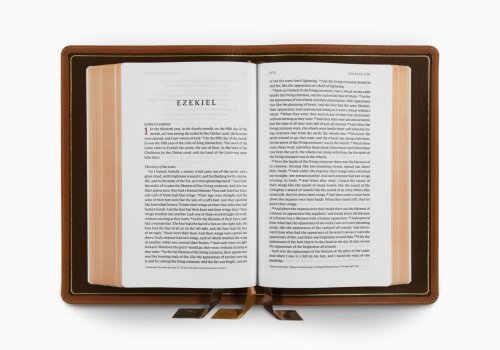 ESV Heirloom Bible, Veritas: Single Column Edition (Cowhide, British Tan, Full Yapp)