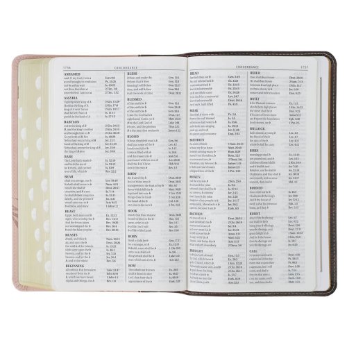 KJV Espresso and Pink Faux Leather Giant Print King James Version Bible with Thumb Index