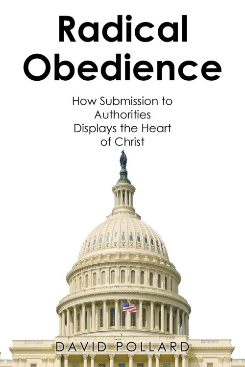 Radical Obedience: How Submission to Authorities Displays the Heart of Christ