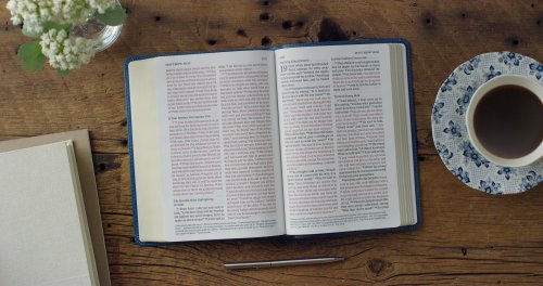 ESV Large Print Personal Size Bible, Red Letter (TruTone, Deep Teal, Ornament Design)
