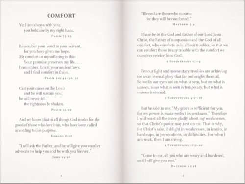 God's Promises for Graduates: Class of 2026 - Gold NIV