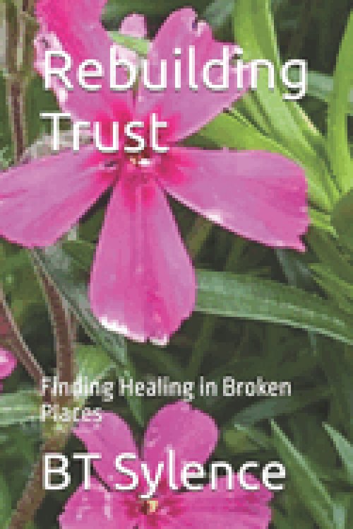 Rebuilding Trust: Finding Healing in Broken Places
