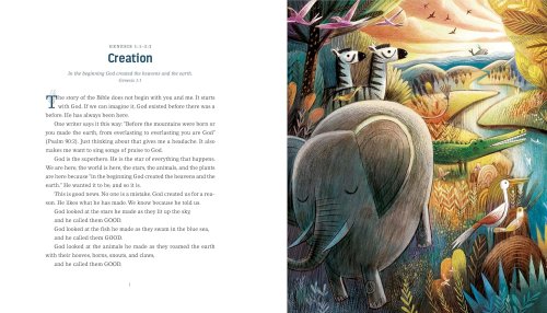 God's Colourful Kingdom Storybook Bible