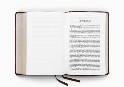 ESV Reader's Bible (TruTone, Brown/Cordovan, Portfolio Design)