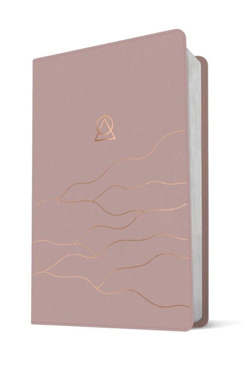 Message Women's Devotional Bible Large Print (Leather-Look, Dusty Blush)