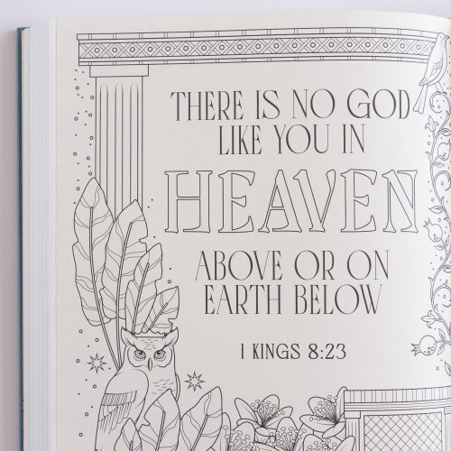 NIV Illuminated Bible - Wide Margin Art Journaling Edition