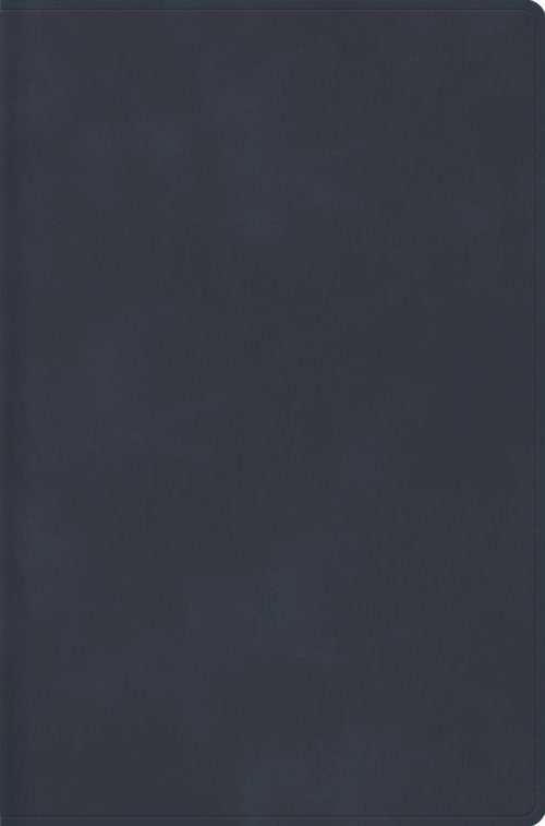 RVR 1960 Biblia Descubre tu fe, Gris Azulado, Símil Piel