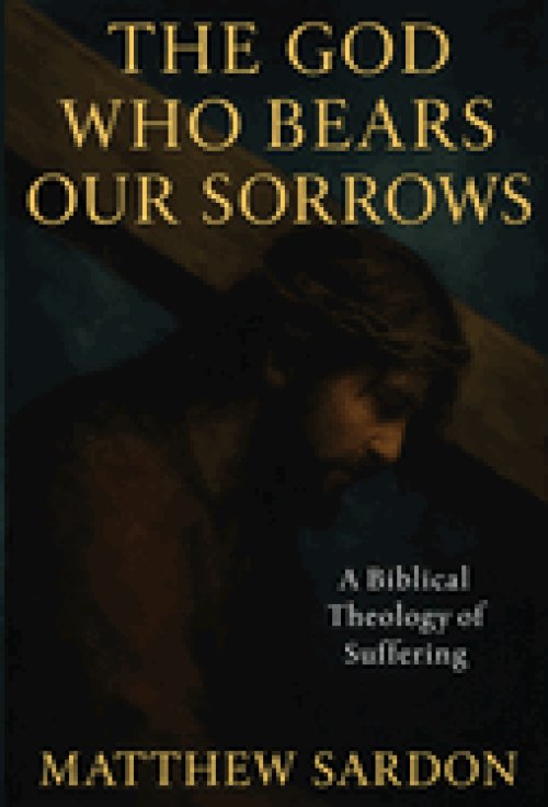 The God Who Bears Our Sorrows: A Biblical Theology of Suffering