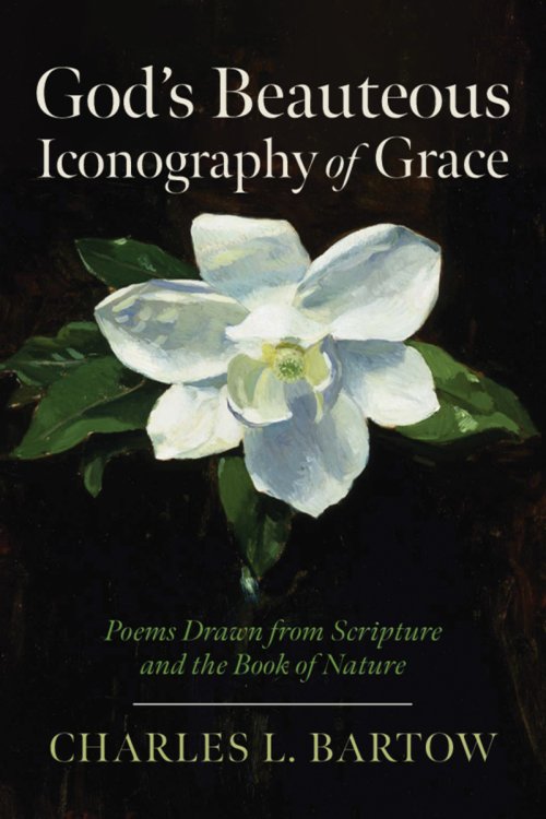 God's Beauteous Iconography of Grace: Free Delivery when you spend £15 ...