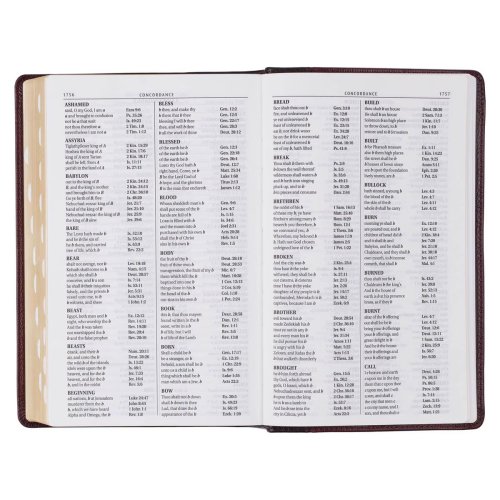 KJV Bible Giant Print Standard-size Full-grain Leather, Burgundy/Mahogany