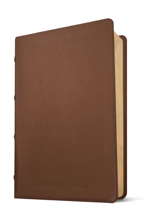 NLT Select Large Print Thinline Reference Bible, Filament Enabled (Goatskin Leather, Brown, Red Letter)