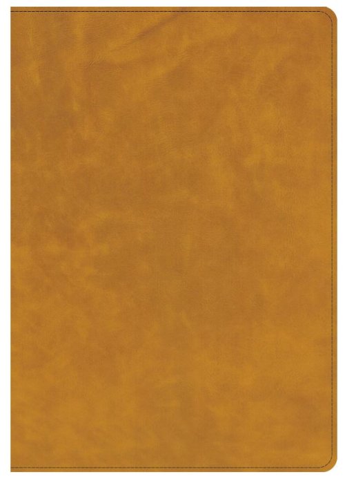 CSB Lumen Dei Bible, Lux Vitae: Single-Column Verse-By-Verse