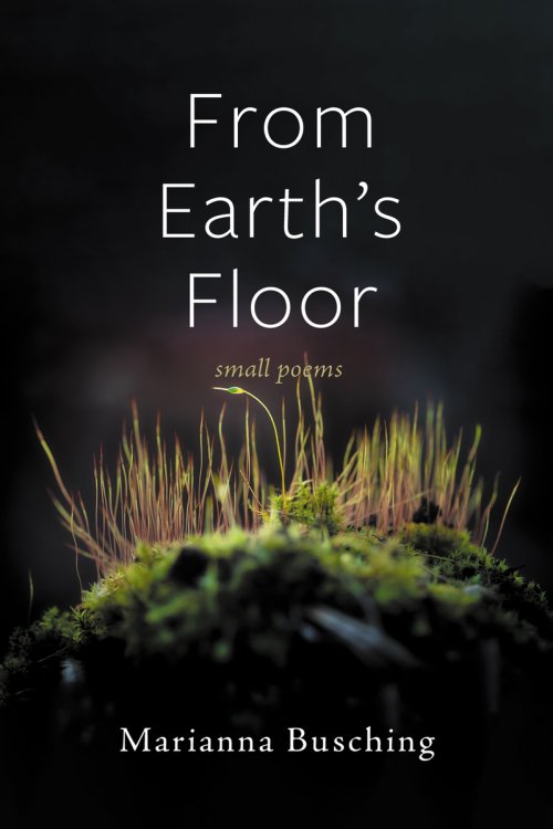 From Earth's Floor