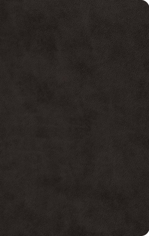 ESV Large Print Value Thinline Bible, Red Letter (TruTone, Black)