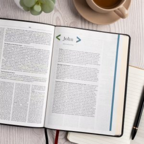 CSB Connecting Scripture New Testament, Black Genuine Leather