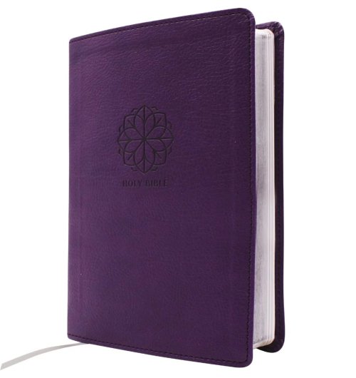 NRSVue, Holy Bible with Apocrypha, Compact, Leathersoft, Purple, Comfort Print