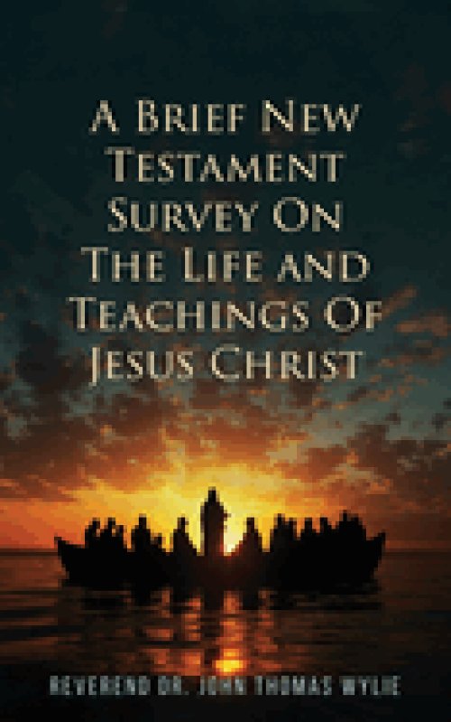 A Brief New Testament: Survey on the life and Teachings of Jesus Christ (Book II)