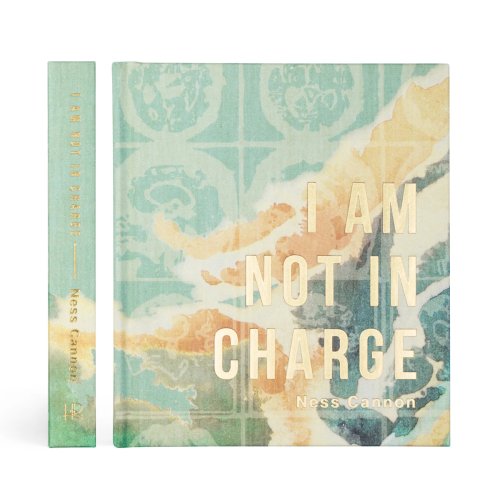 I Am Not In Charge