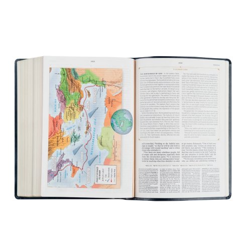 CSB Women's Study Bible: Versailles Theme