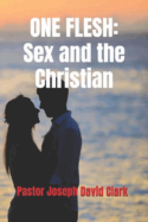 ONE FLESH: Sex and the Christian