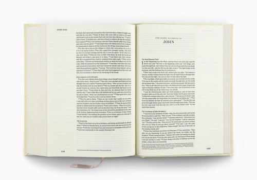 ESV Single Column Journaling Bible (Cloth over Board, Rosehip Design)
