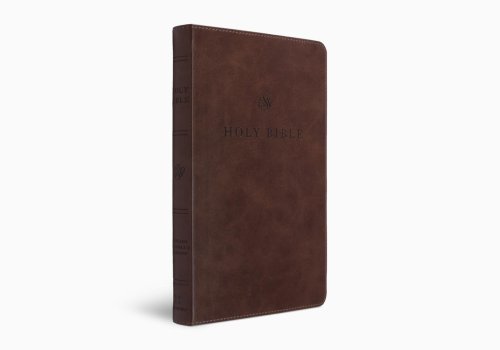 ESV Premium Church Bible, Large Print (TruTone, Brown)