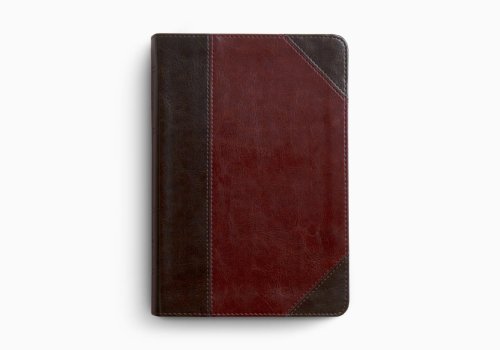 ESV Reader's Bible (TruTone, Brown/Cordovan, Portfolio Design)