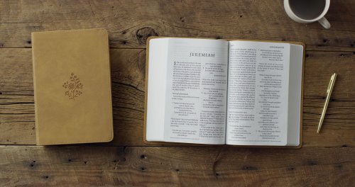 ESV Giant Print Personal Size Bible, Red Letter (TruTone, Nubuck Caramel, Wildflower Design)