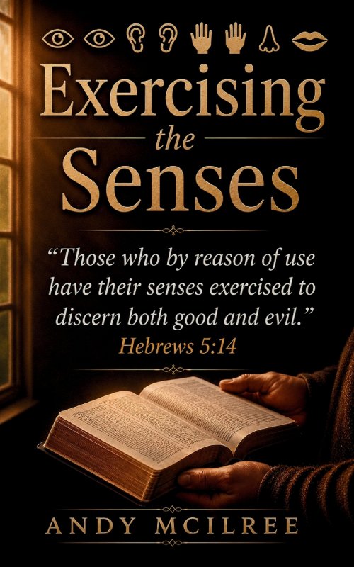 Exercising the Senses