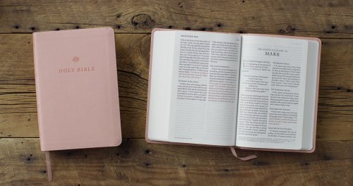 ESV Giant Print Personal Size Bible, Red Letter (TruTone, Blush Rose)
