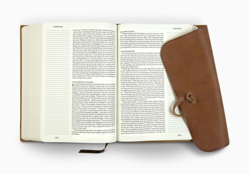 ESV Journaling Bible, Large Print