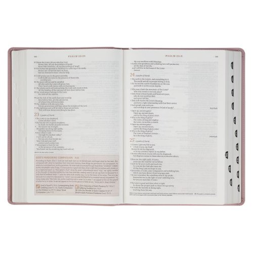 NLT, The Spiritual Growth Bible Faux Leather, Dusty Mauve