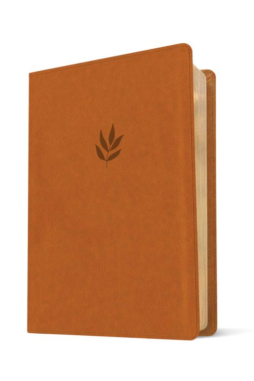 NLT Personal Size Giant Print Bible, DaySpring Signature Collection, Filament Enabled (LeatherLike, Classic Tan, Red Letter)