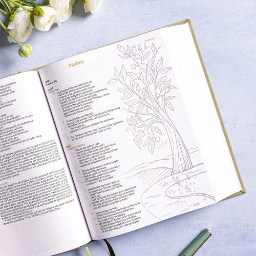 CSB Illustrator's Notetaking Bible, Large Print Edition