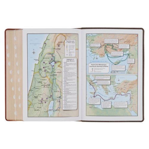 KJV Dark Brown and Honey Brown Faux Leather Large Print King James Version Study Bible with Thumb Index