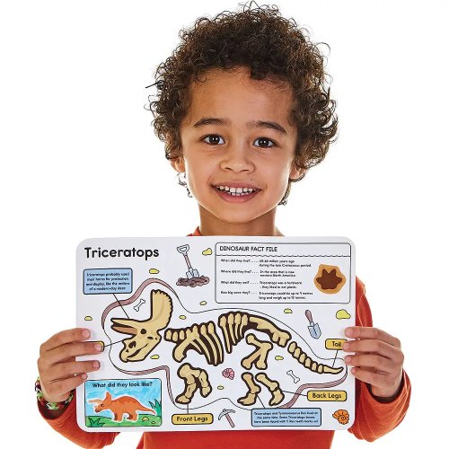 Dinosaur Fossil Sticker Sheets (Pack of 4)