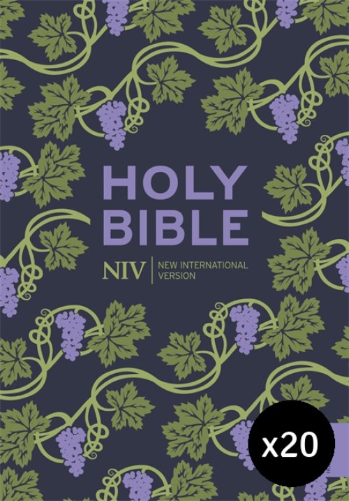 NIV Holy Bible, Purple, Paperback, Pack of 20