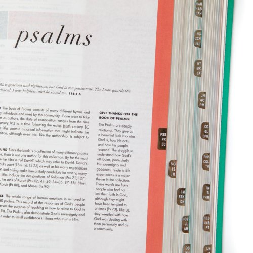 CSB She Reads Truth Bible, Emerald Cloth Over Board, Indexed (Limited Edition)