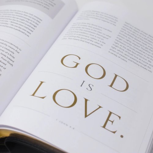 The Word on Fire Bible: Volume 2