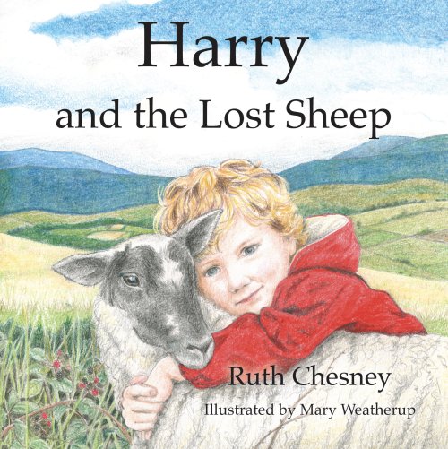 Harry and the Lost Sheep