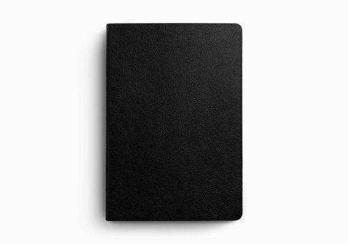 ESV Giant Print Value Thinline Bible (TruTone, Black)
