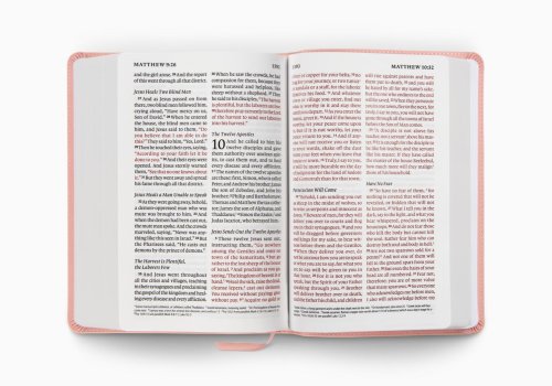 ESV Giant Print Personal Size Bible, Red Letter (TruTone, Blush Rose)