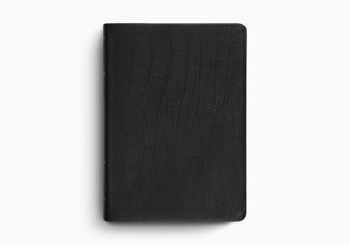 ESV Study Bible, Large Print, Thumb Indexed (Genuine Leather, Black)