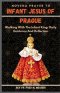 INFANT JESUS OF PRAGUE NOVENA: Walking With The Infant King: Daily Guidance And Reflection